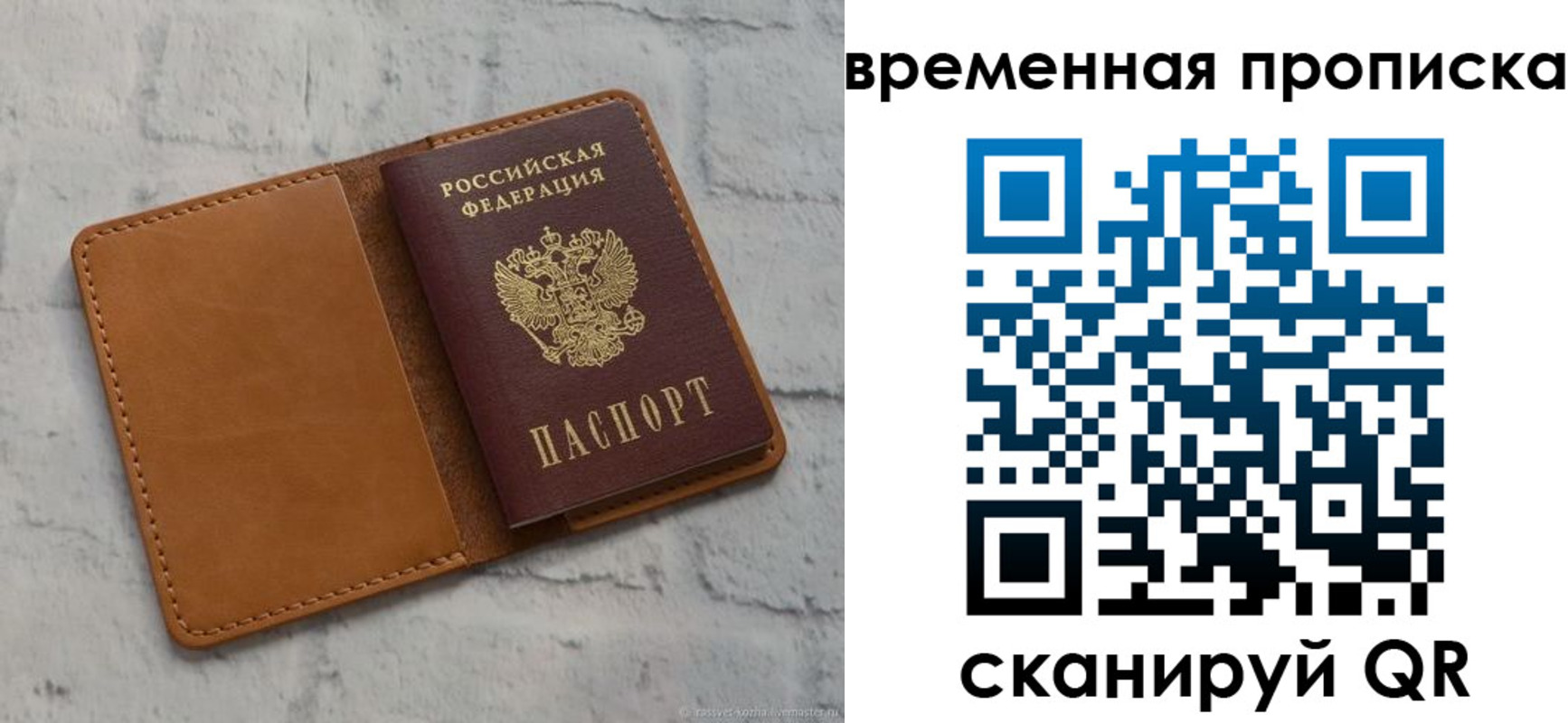 прописка поиск в Котельниково
